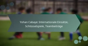 Yohan Cabaye: Internationale Einsätze, Schlüsselspiele, Teambeiträge