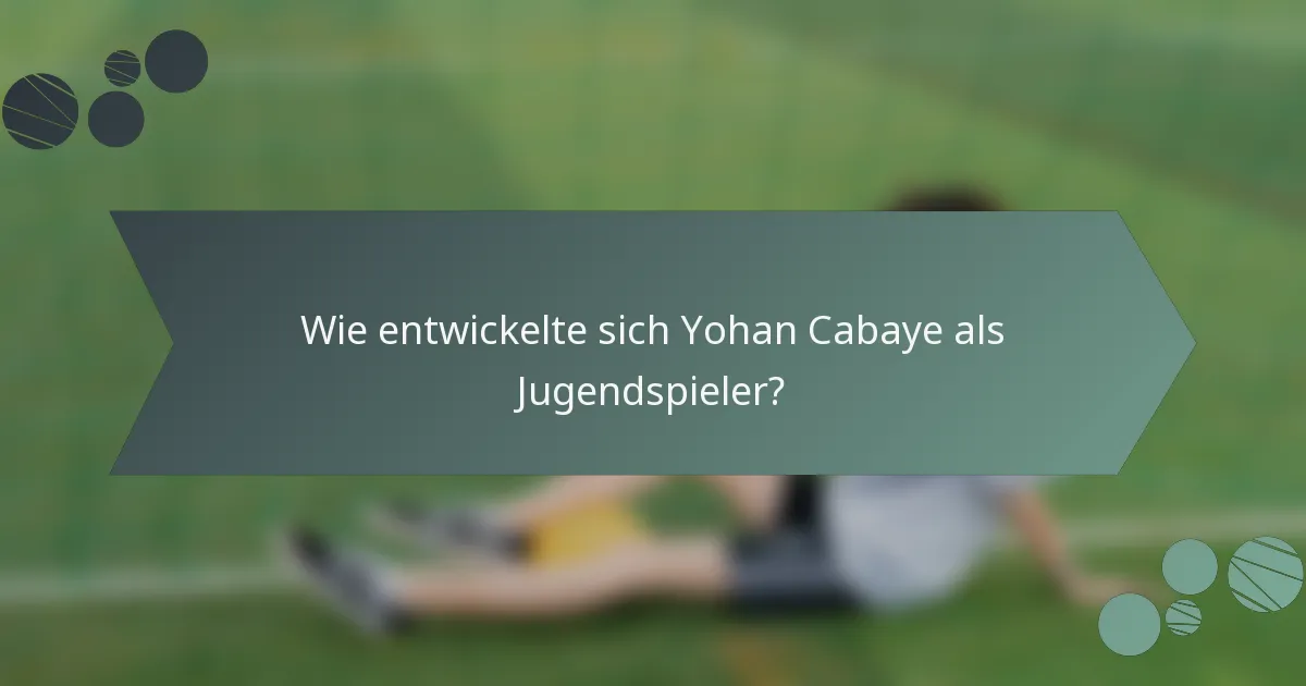 Wie entwickelte sich Yohan Cabaye als Jugendspieler?