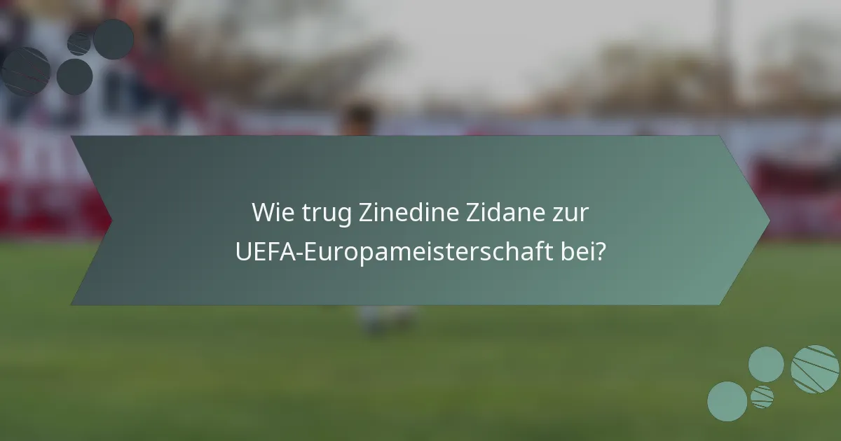 Wie trug Zinedine Zidane zur UEFA-Europameisterschaft bei?